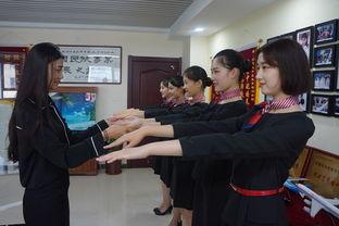 河北艺考爆料最新消息,揭秘热门专业录取情况及备考策略